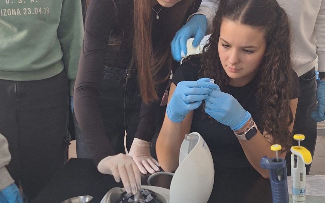 Inżynieria genetyczna dla początkujących DNA