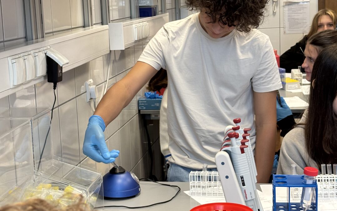 „Przepis na świecące komórki krwi – Immunologia od kuchni”