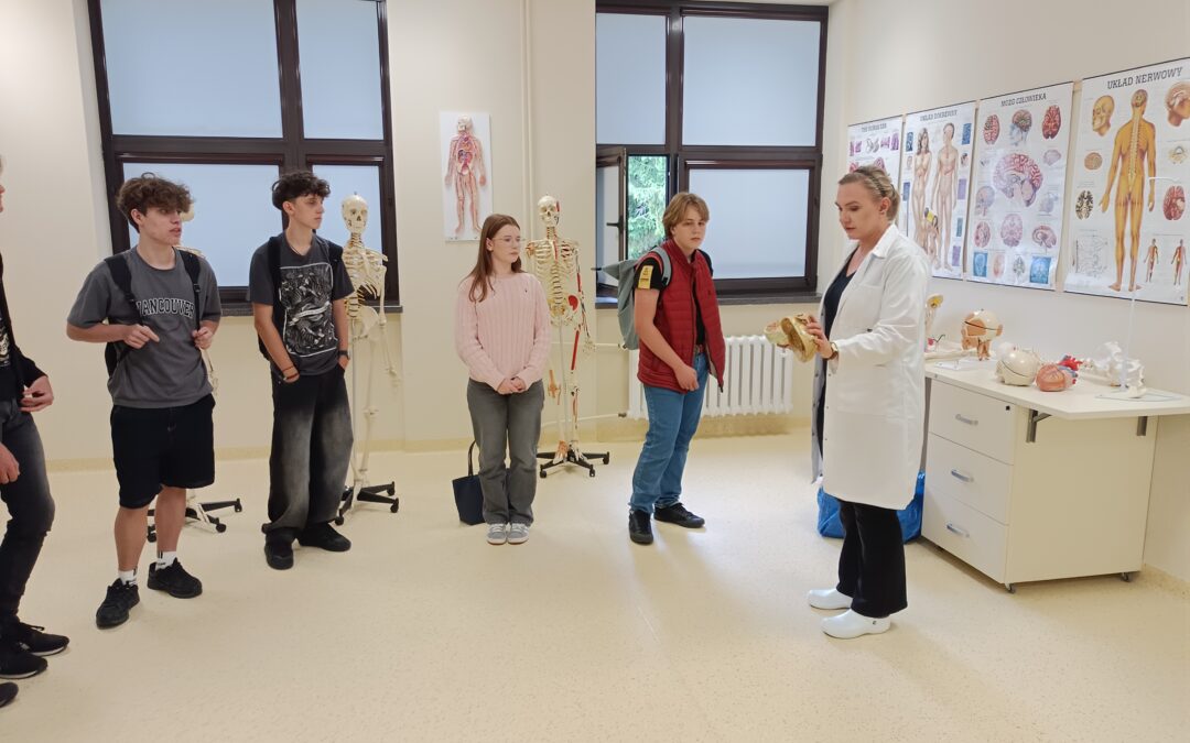 Świat wirtualnej anatomii